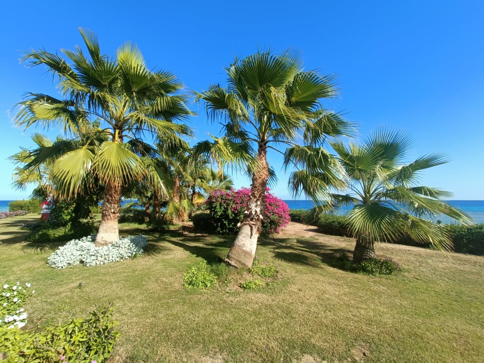 Gartenanlage Three Corners Equinox Beach Resort