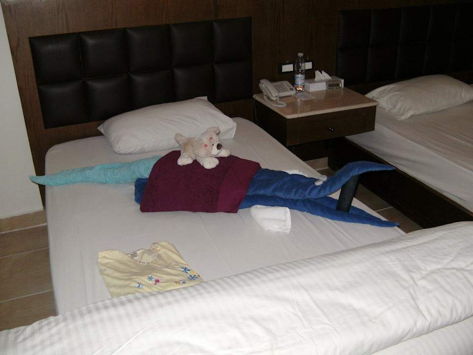 Jeden Tag etwas neues Pickalbatros Alf Leila Wa Leila Resort - Neverland Hurghada