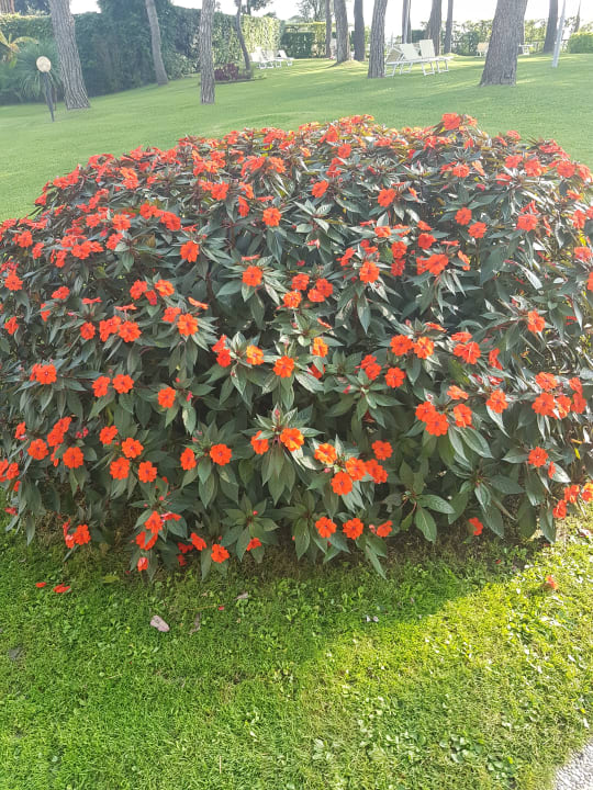 Gartenanlage Hotel San Giorgio
