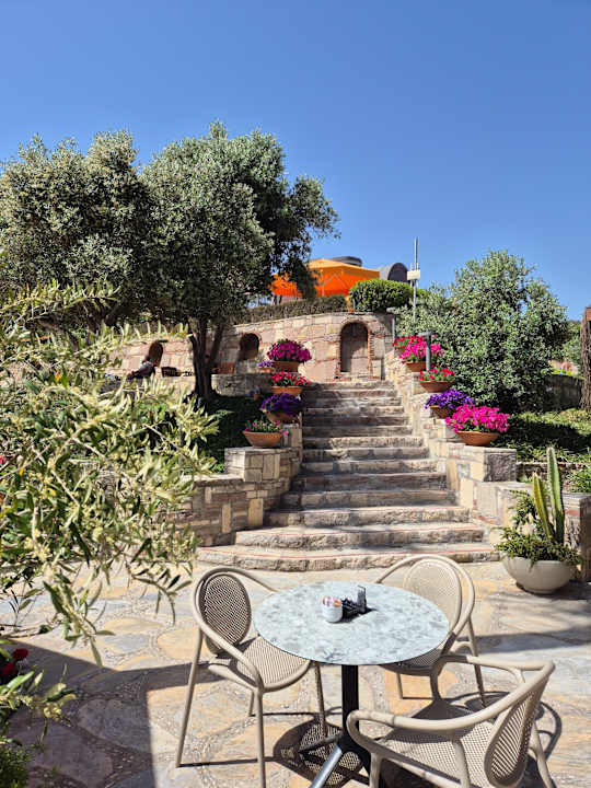 Gartenanlage Arum Barut Collection