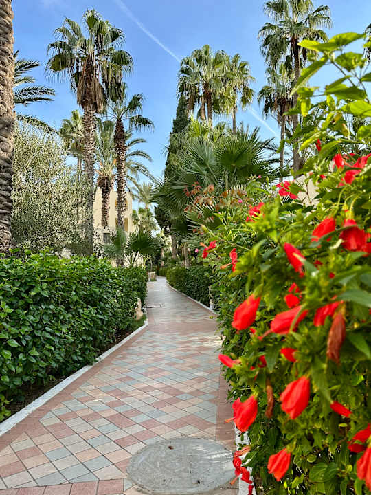 Gartenanlage Hotel Paradis Palace