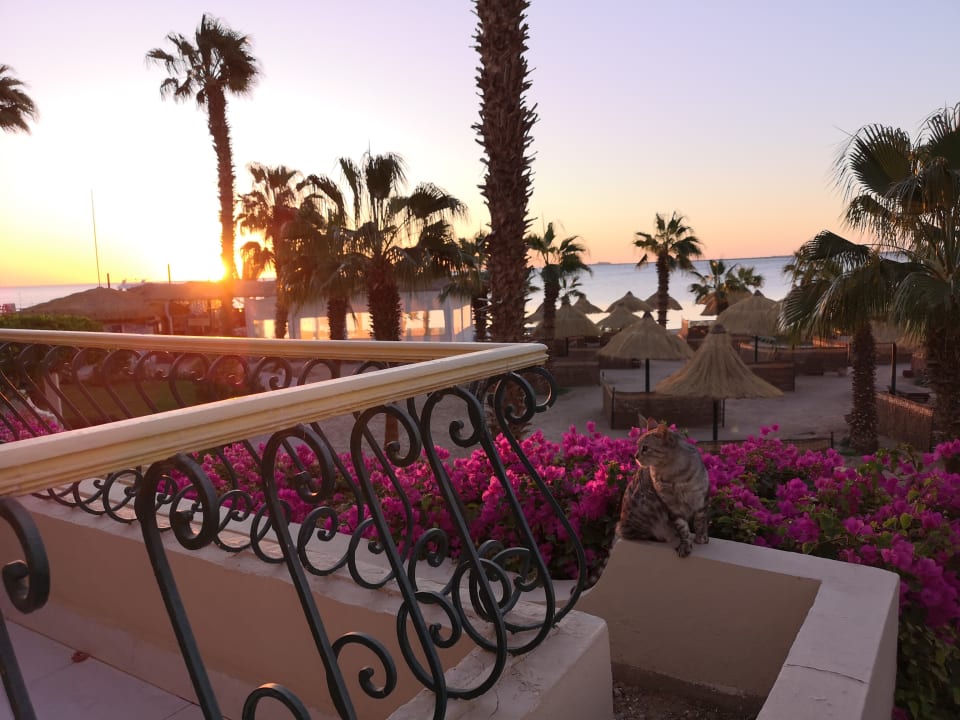 Ausblick Lotus Bay Beach Resort