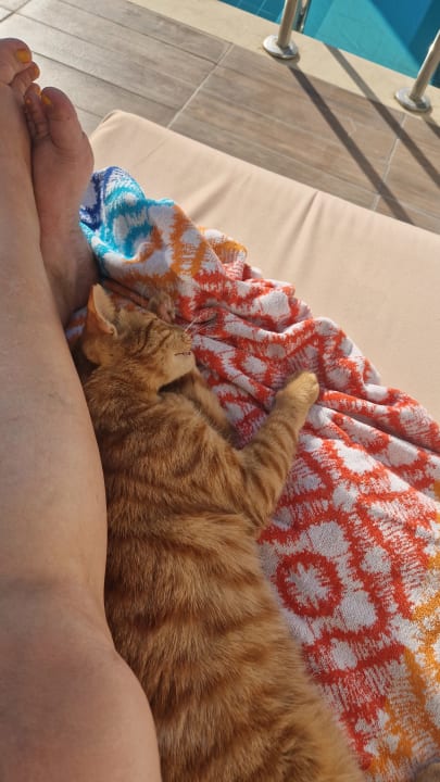 Sonstiges Side Star Elegance