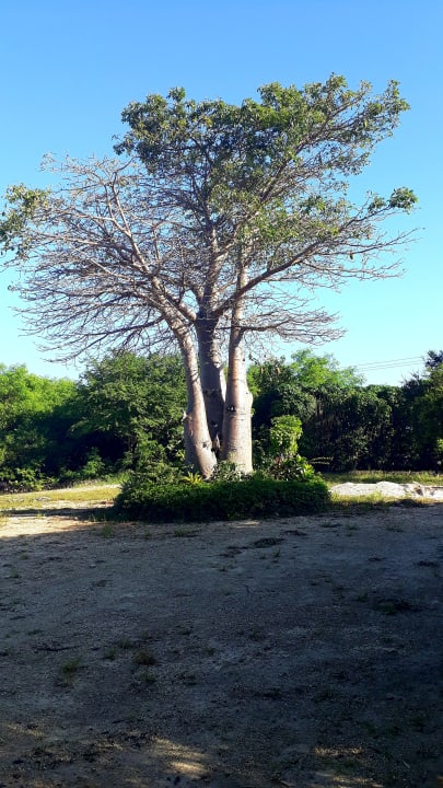 Sonstiges Spice Island Hotel & Resort