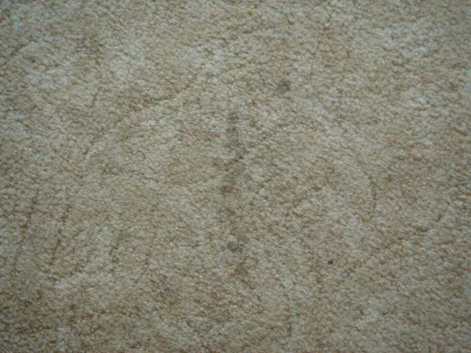 Verdreckter Teppich Hotel Mena Palace