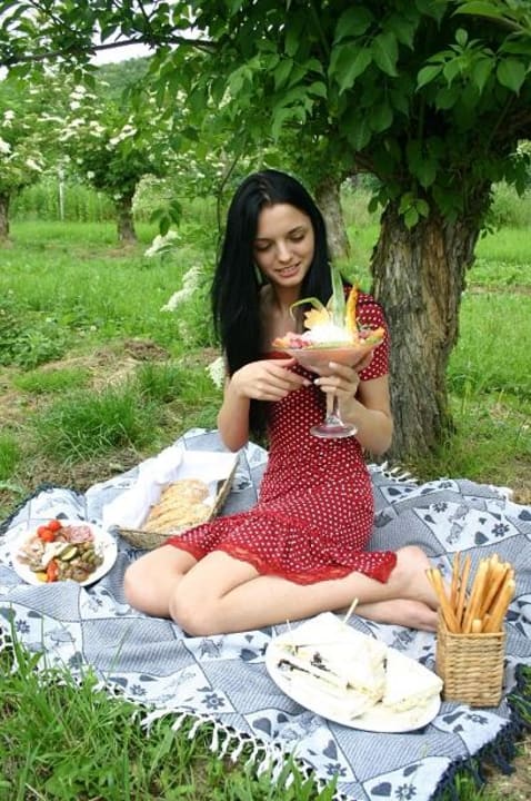 Picknick in unserem Garten! Brennerei- und Wellnesshotel Lagler