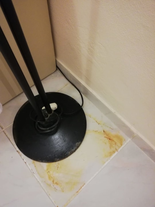 Zimmer Siesta Beach Apartments