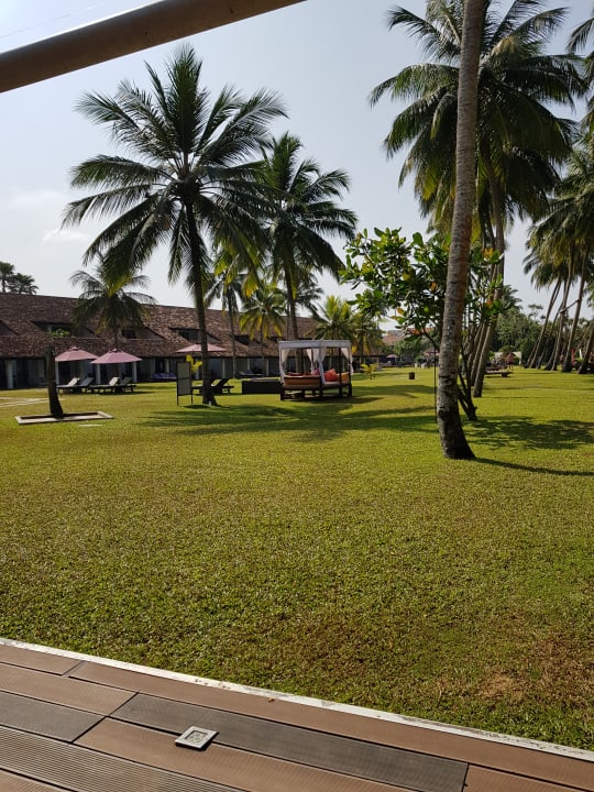 Gartenanlage Thaala Bentota