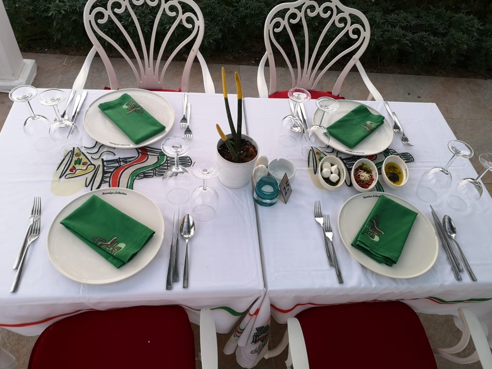 Gastro Kamelya Aishen Club