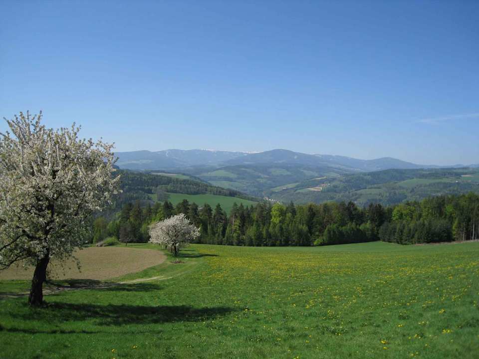 Ausblick auf das Wechselgebirge Pension Wachahof