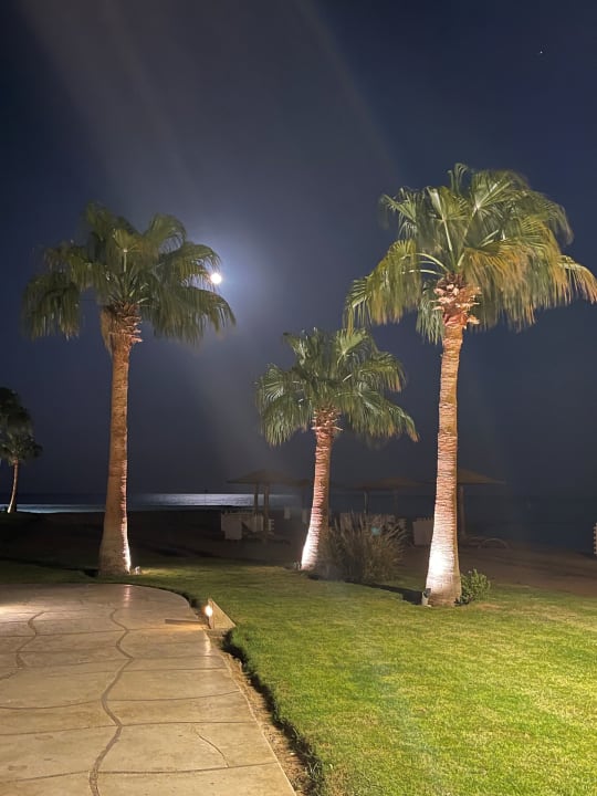 Gartenanlage Shams Prestige Abu Soma-Adults Only