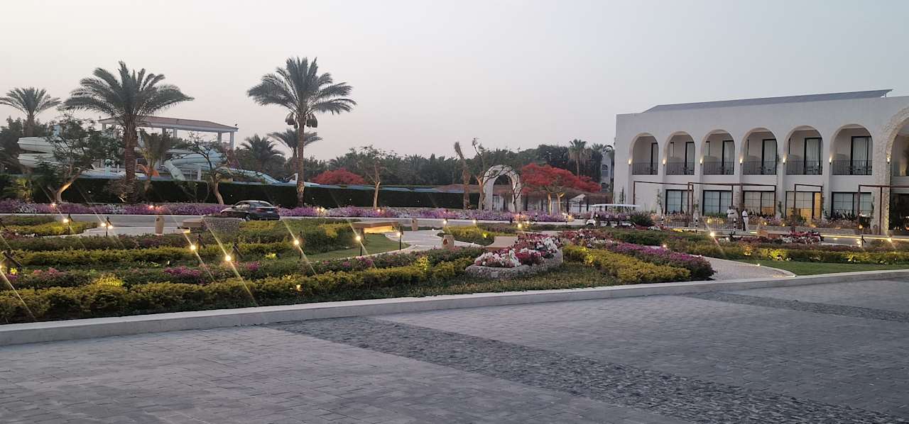 Gartenanlage Desert Rose