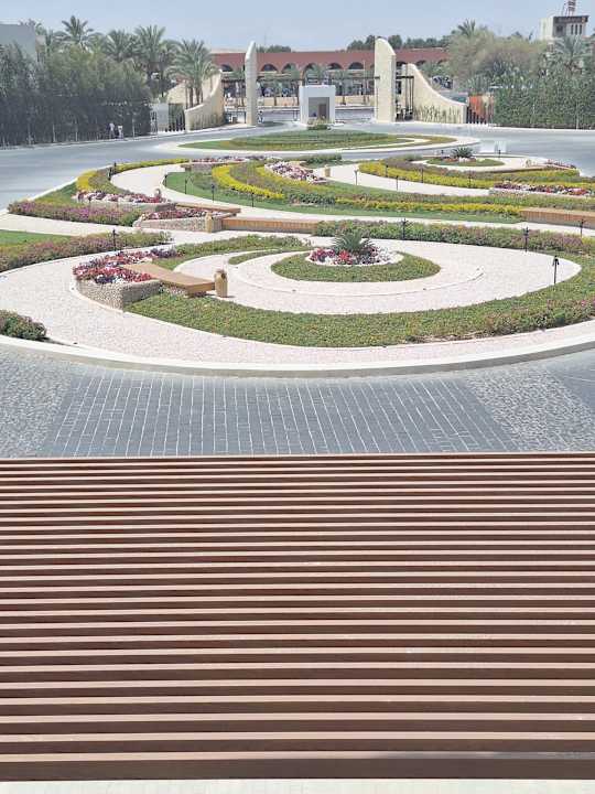 Ausblick Desert Rose