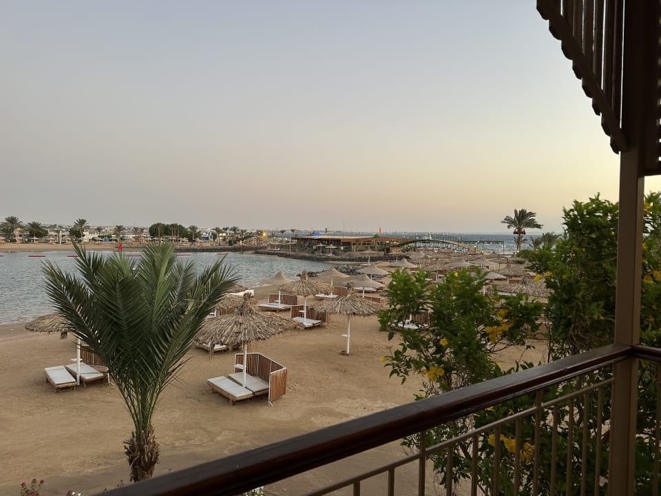 Ausblick Desert Rose