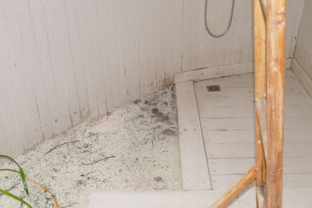 Zimmer Kihaa Maldives