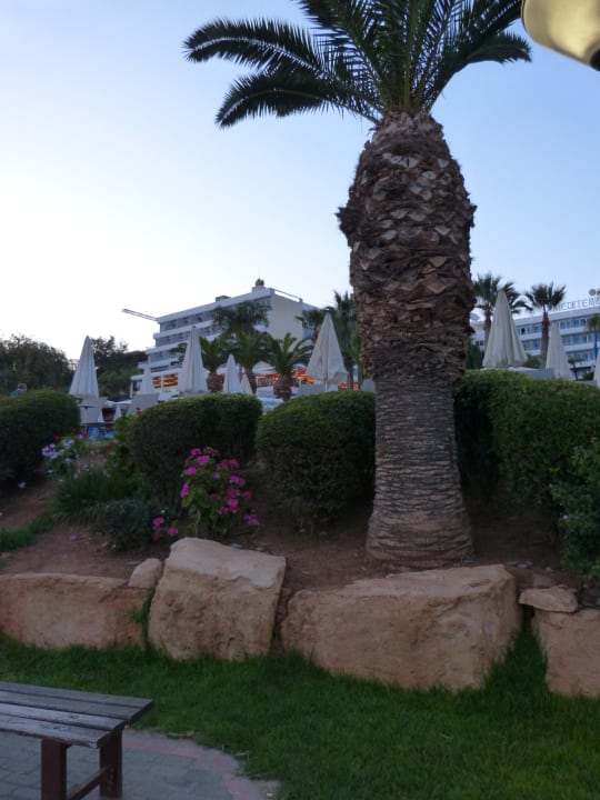 Außenansicht Mediterranean Beach Hotel