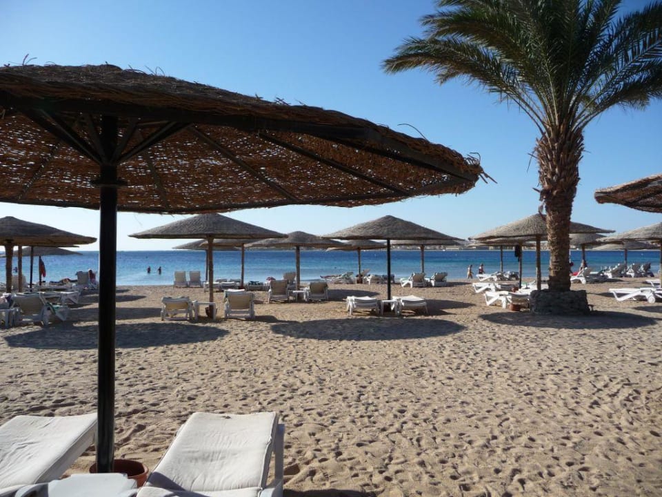 Beach! Fort Arabesque Resort, Spa & Villas