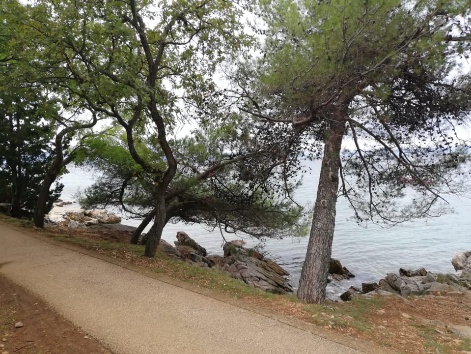 Sonstiges Veya Maradiso Hotel by Aminess