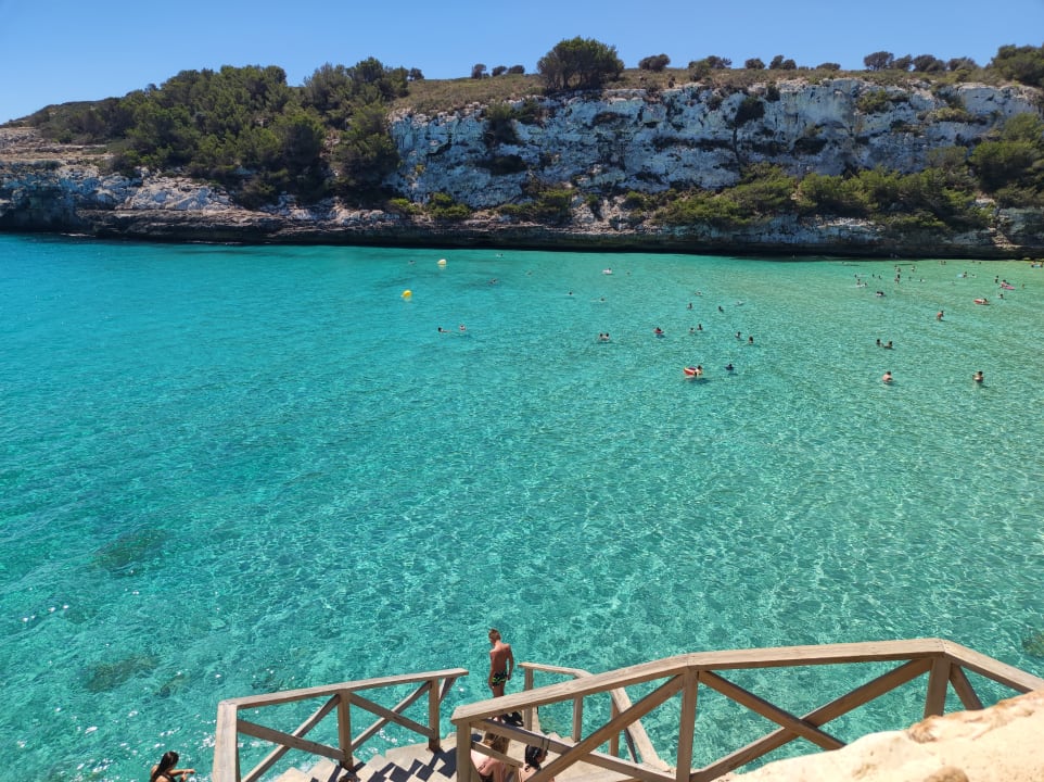 Sonstiges blau punta reina