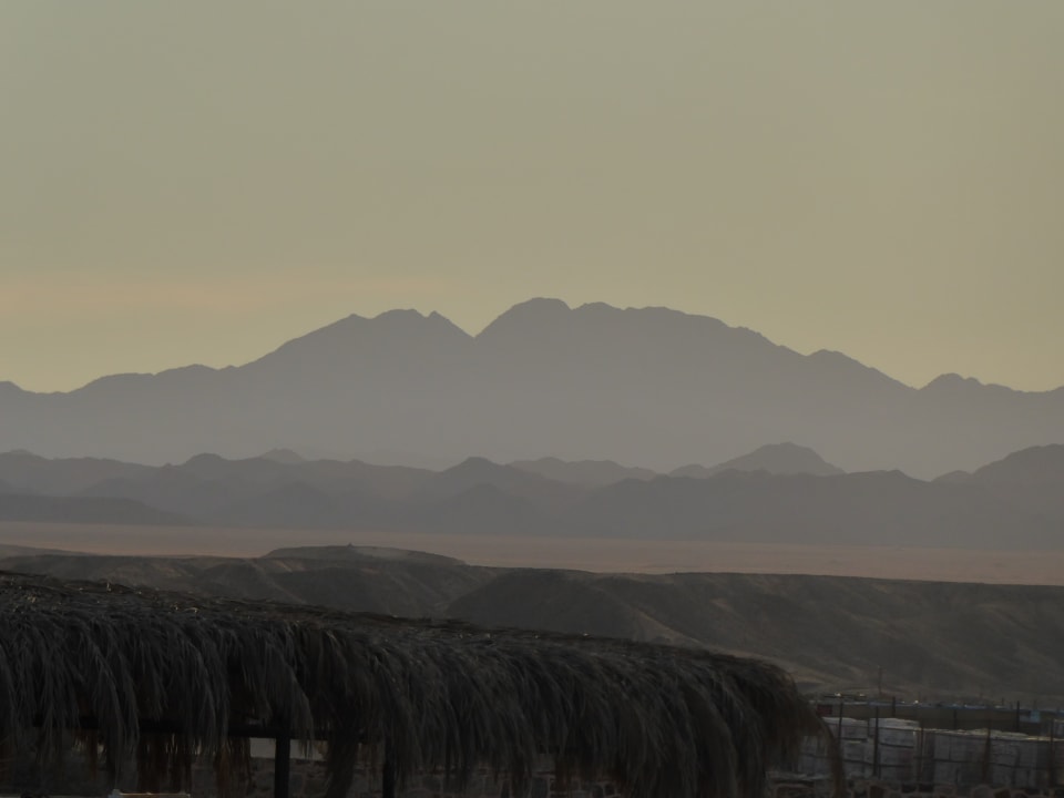 Ausblick Steigenberger Coraya Beach - Adults only
