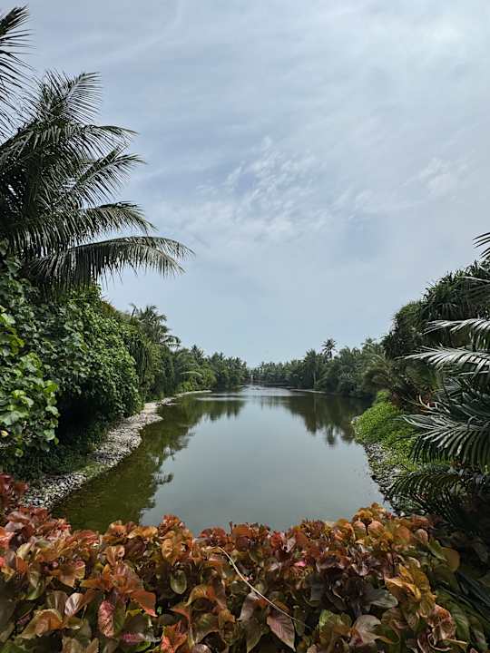 Gartenanlage Pullman Maldives Maamutaa - All-Inclusive Resort - 50% off Domestic Transfers