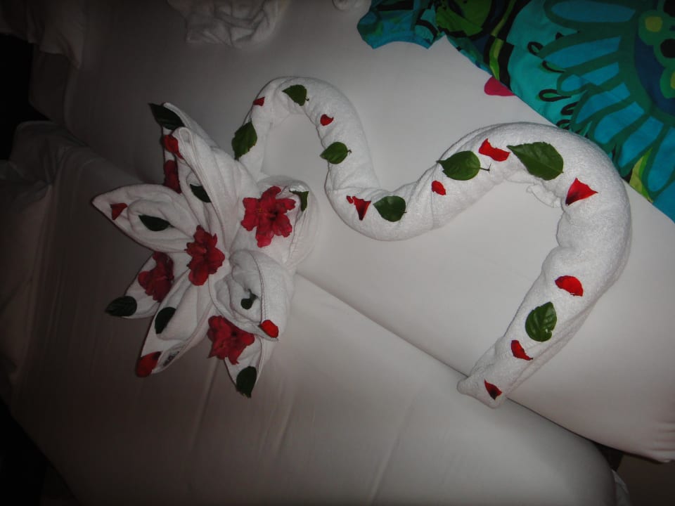 Deco Jaz Dar EL Madina