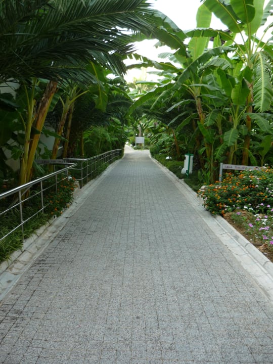 Weg durch den Dschungel Sealife Buket Resort & Beach