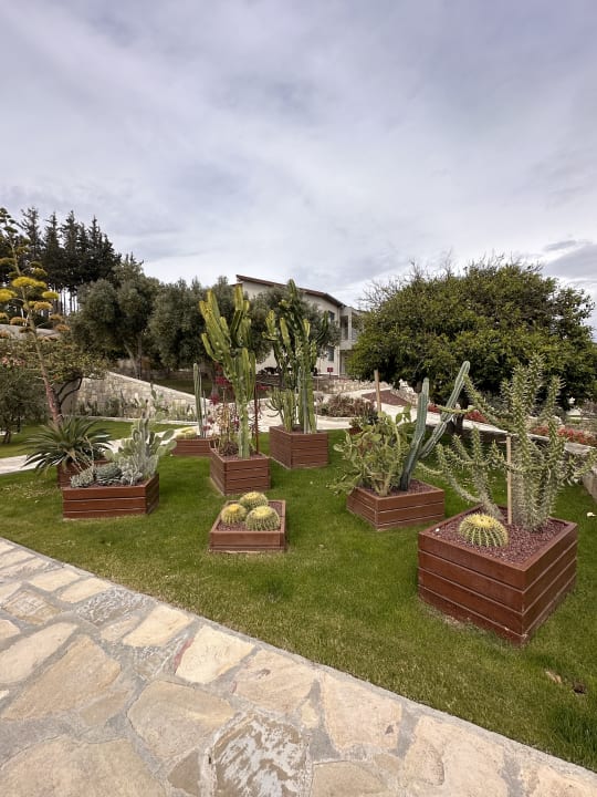 Gartenanlage Arum Barut Collection