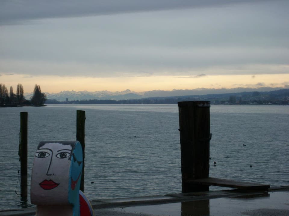 Seeblick Hotel Seeschau