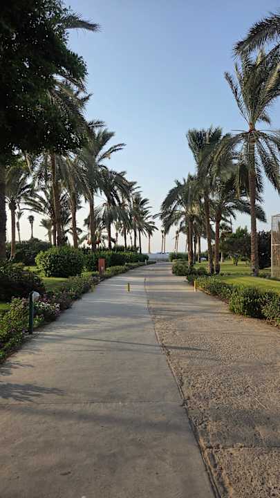 Gartenanlage Desert Rose
