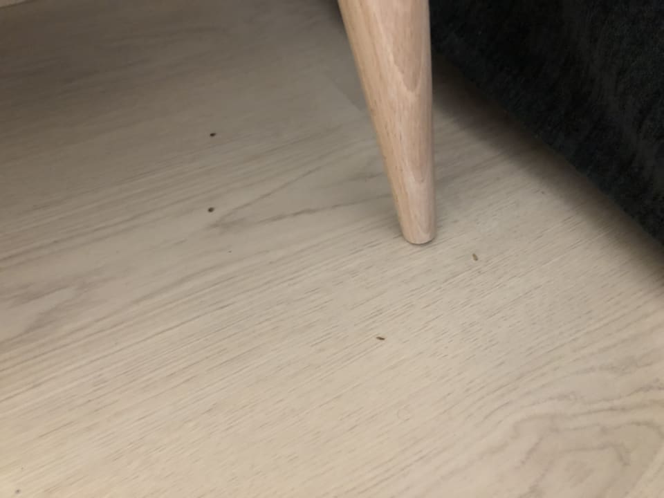 Zimmer Alcudia Garden Aparthotel