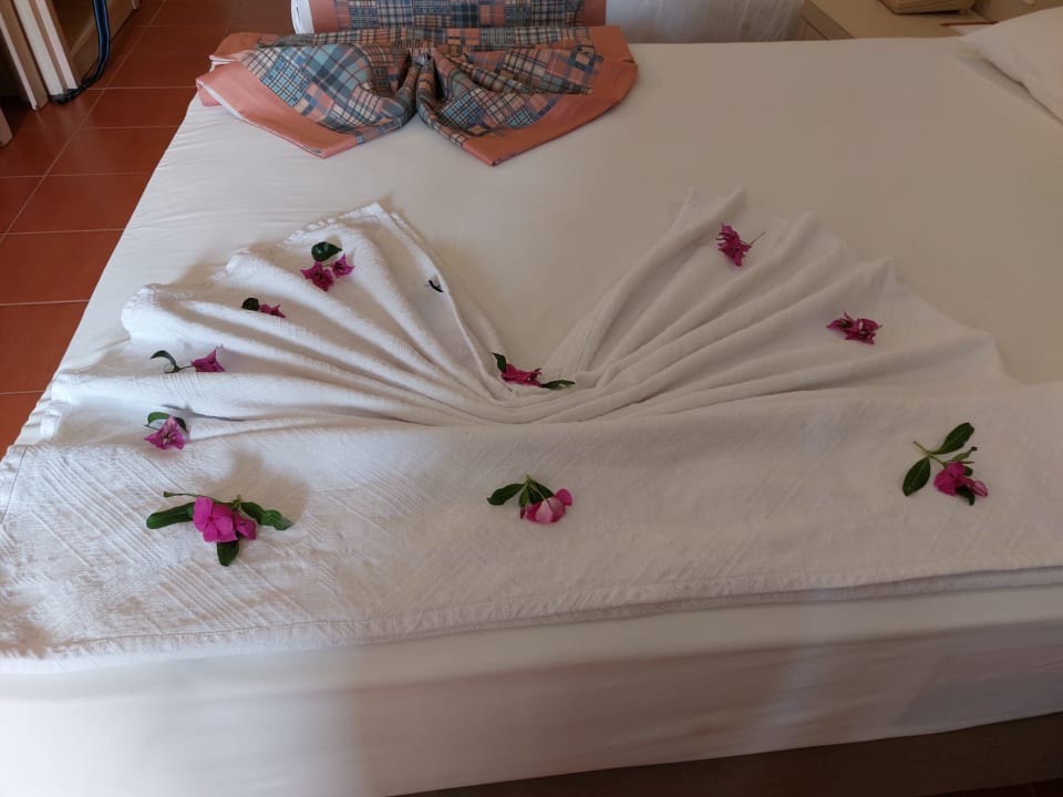 Zimmer Hotel Gardenia Beach