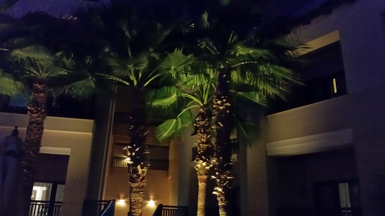 Gartenanlage Steigenberger Aqua Magic