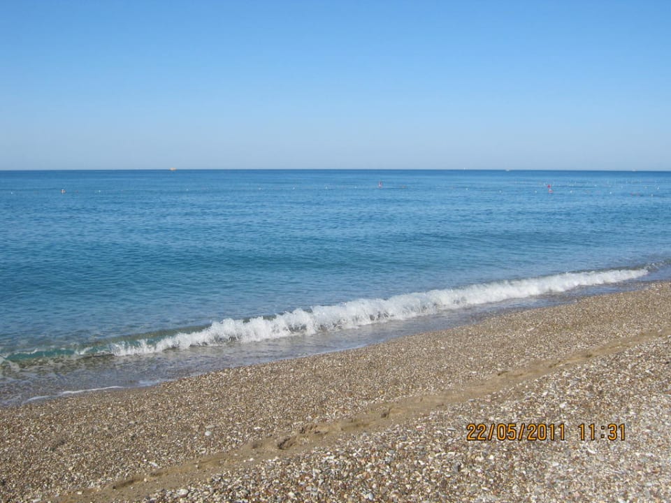 Синее море Hotel Turan Prince