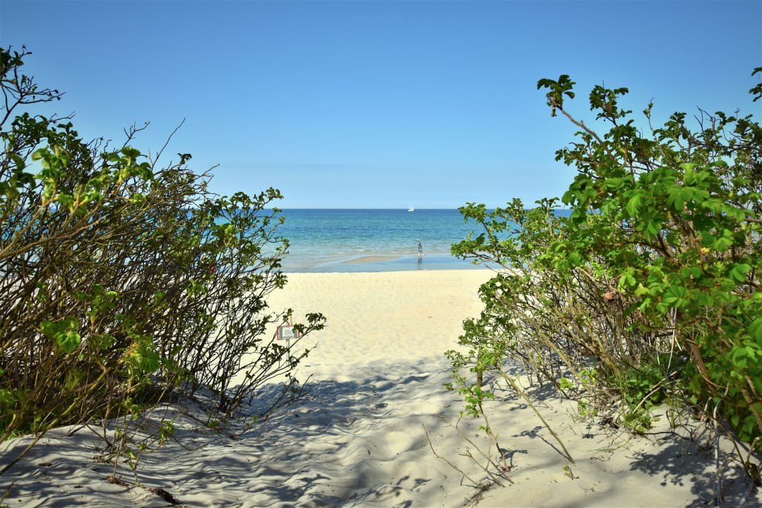Strand Hotel Residenz Waldkrone Kühlungsborn