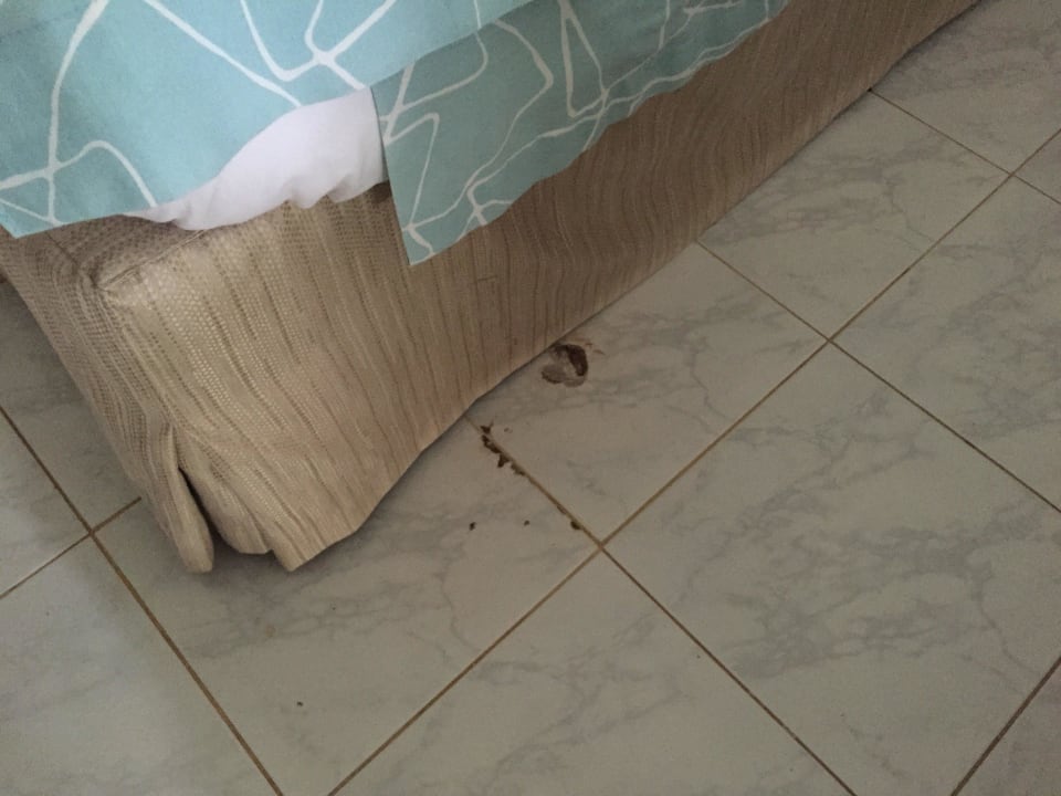 2. "Premium-Deluxe" Zimmer 4109 (Sauberkeit?) Wyndham Alltra Samana