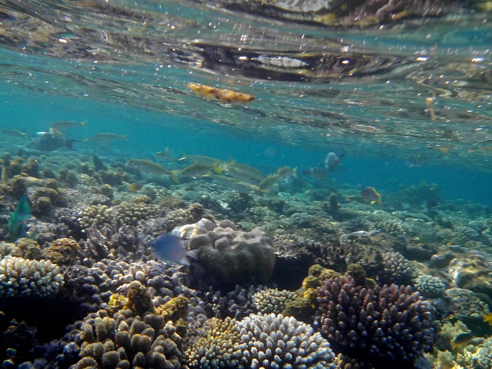 Sport & Freizeit Lahami Bay Beach Resort