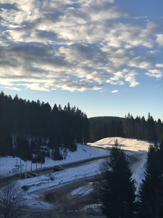 Ausblick Waldhotel am Notschreipass