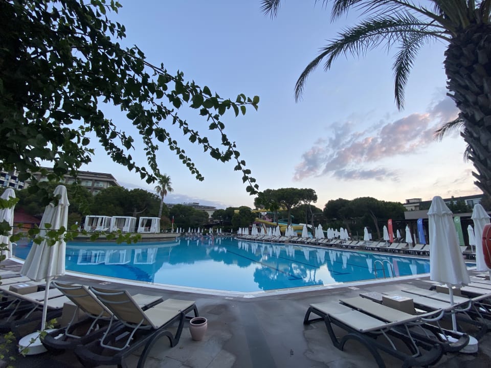 Pool Papillon Ayscha