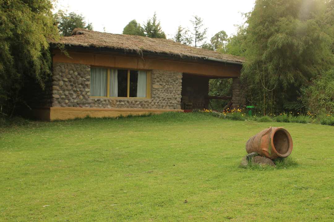 Unser Häuschen Gorilla Montain View Lodge