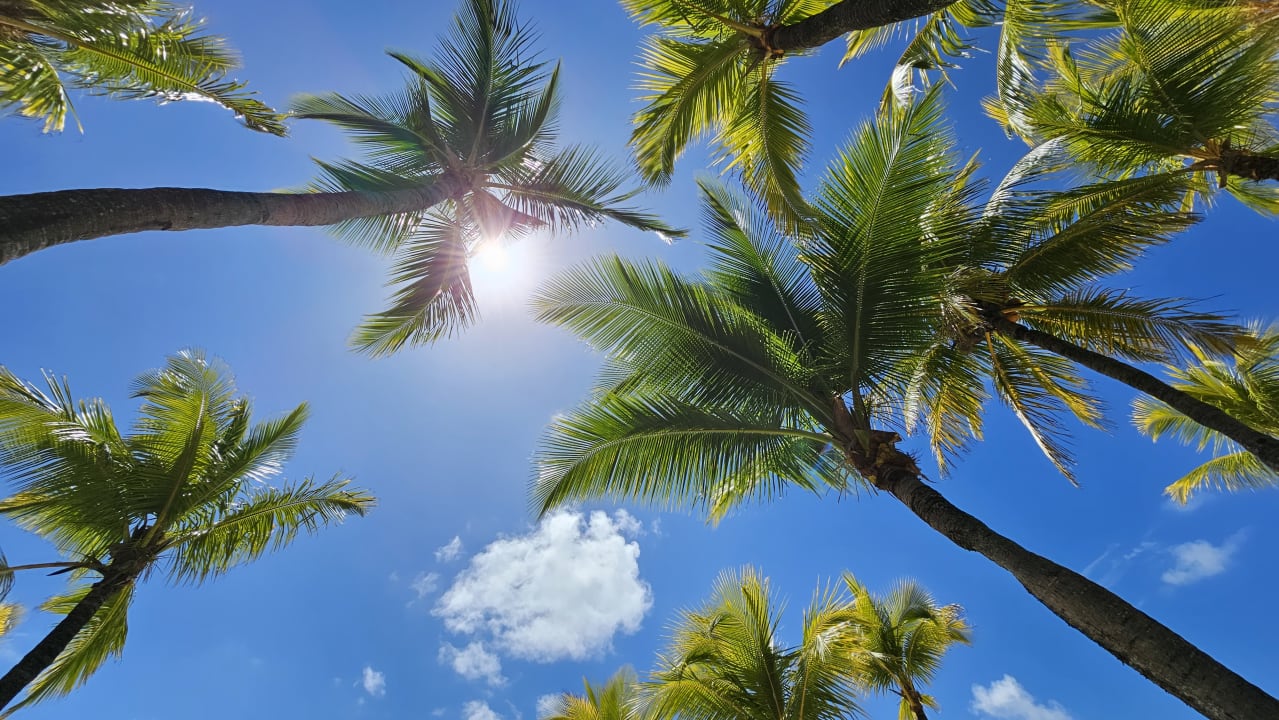 Ausblick Shangri-La Le Touessrok Mauritius