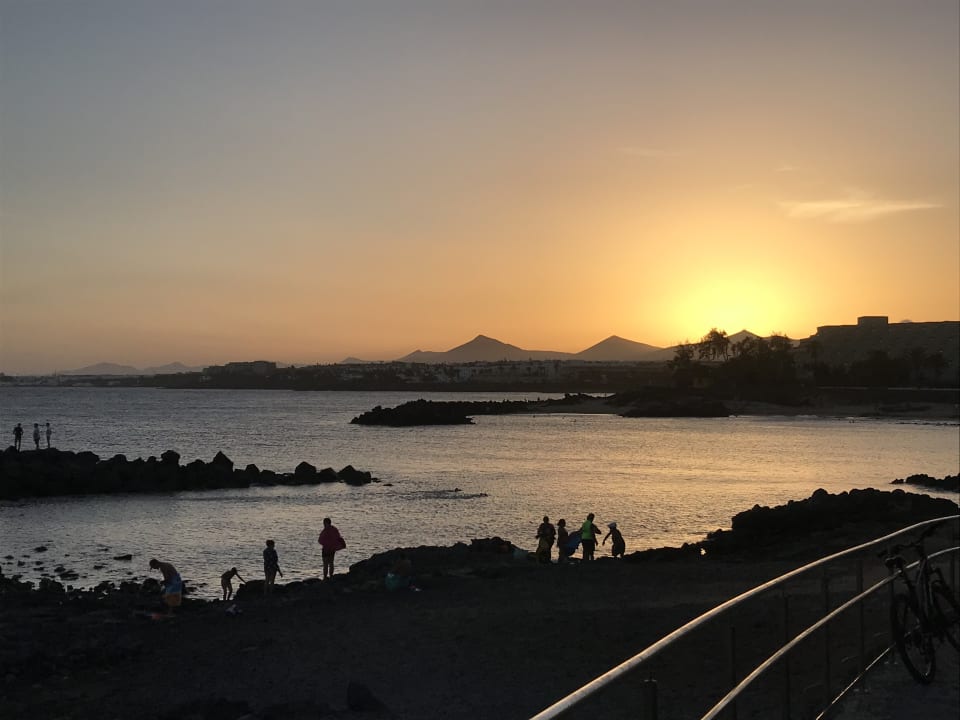 Ausblick allsun App.-Hotel Albatros