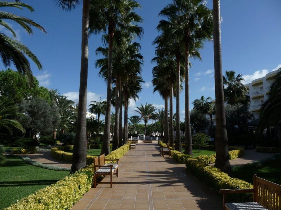 Innengang Iberostar Selection Albufera Park