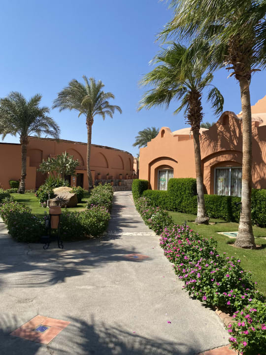 Gartenanlage Jaz Makadi Oasis Resort