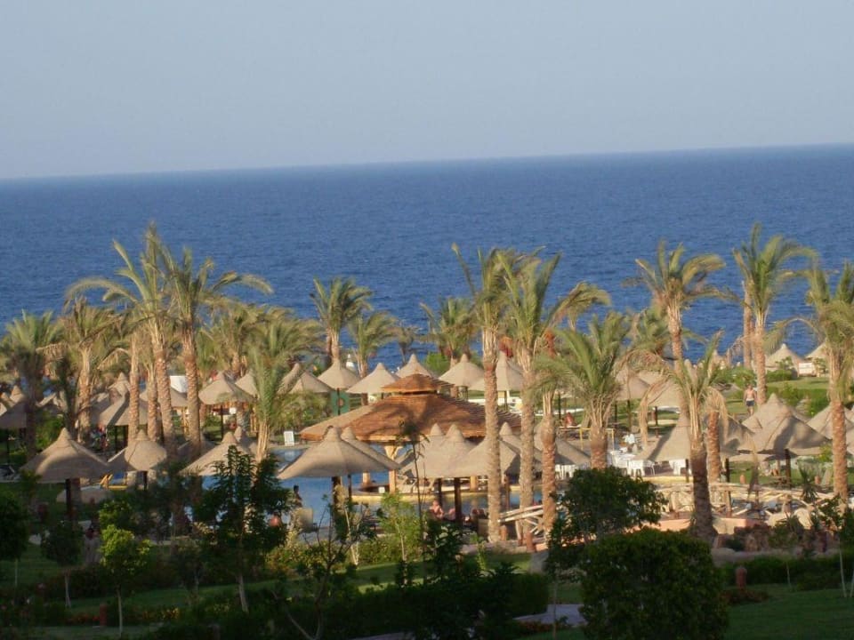 Gesamtansicht Serenity Alpha Beach