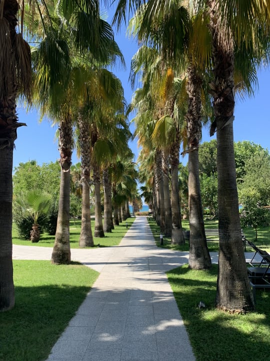 Gartenanlage Hotel Miramare Beach