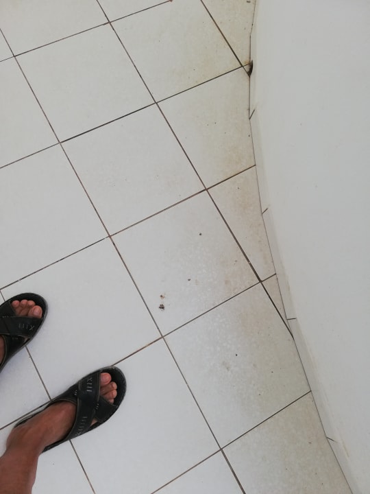 Zimmer Club Salammbô Hammamet