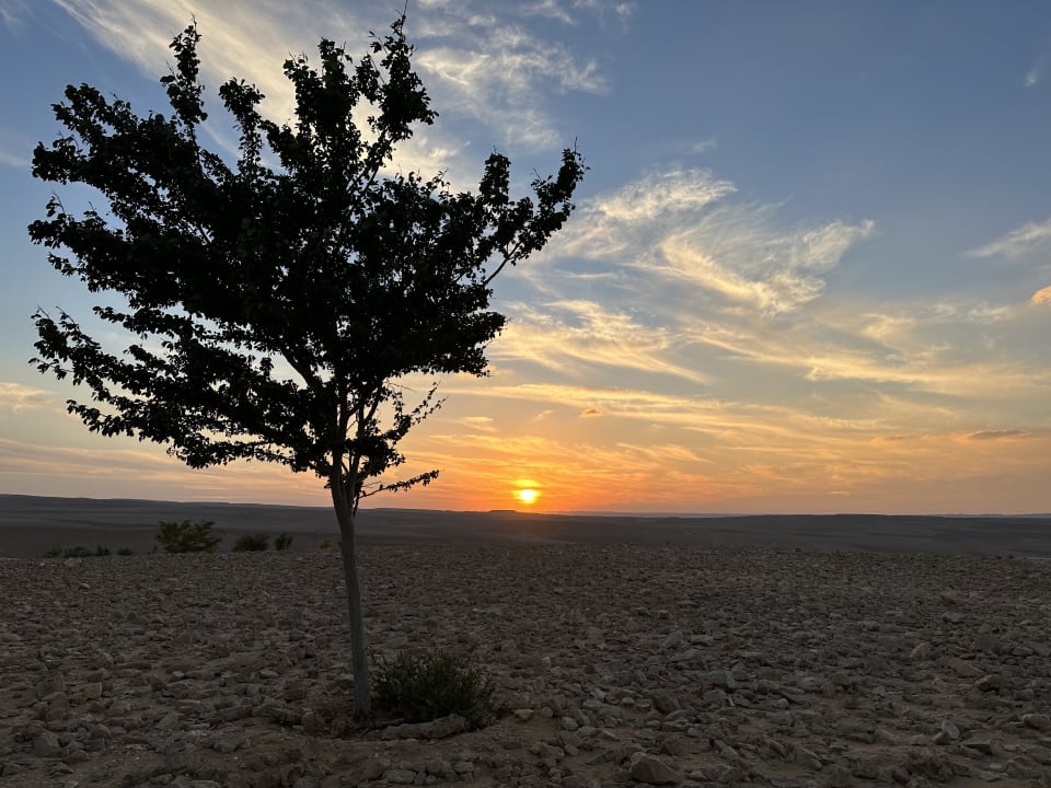 Ausblick Six Senses Shaharut