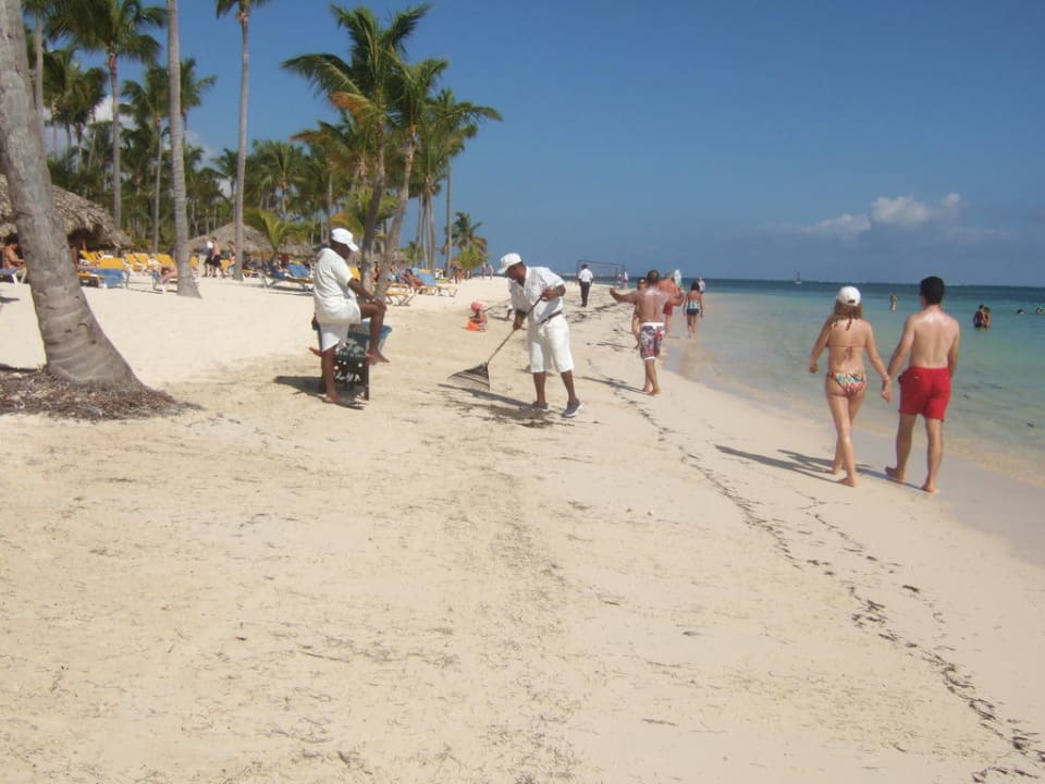 Strandblick Catalonia Punta Cana - All Inclusive
