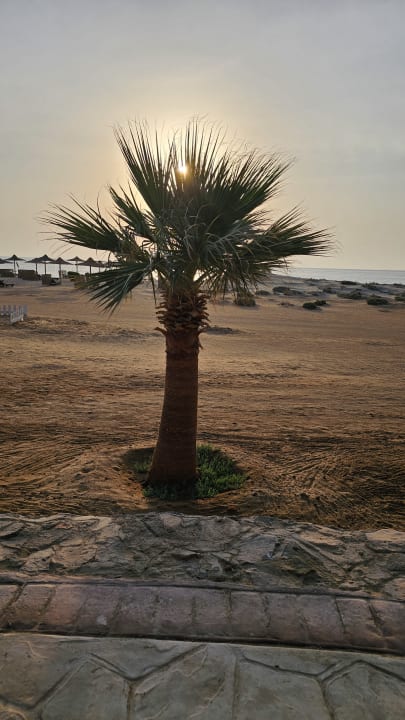 Ausblick Shams Alam Beach Resort